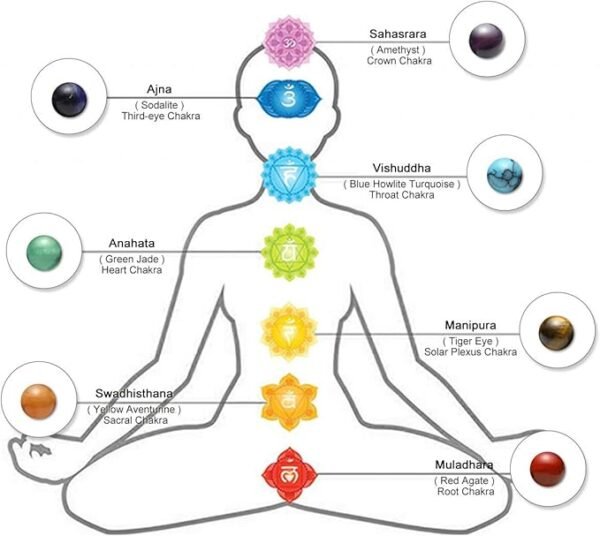 61zvxuYBiWL._AC_SX679_